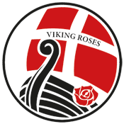 Logo_viking