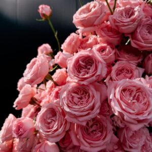 RLM® Radiant Rebecca